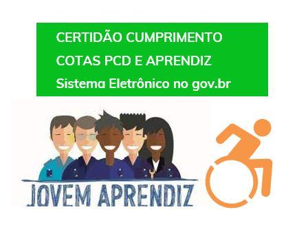 Portaria MTE nº 547 orienta sobre sistema eletrônico para emissão de certidões de cumprimento de cota de PCD e Aprendizes